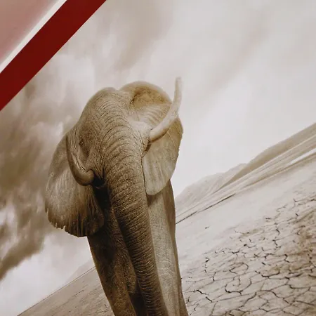 L'oasi A San Pietro Appartement Rome